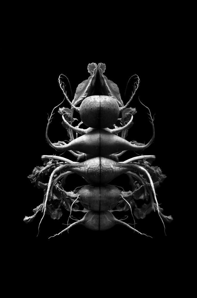 © Cecilia Manzanares Vargas, Mexico, Shortlist, Latin America Professional Award, 2020 Sony World Photography Awards