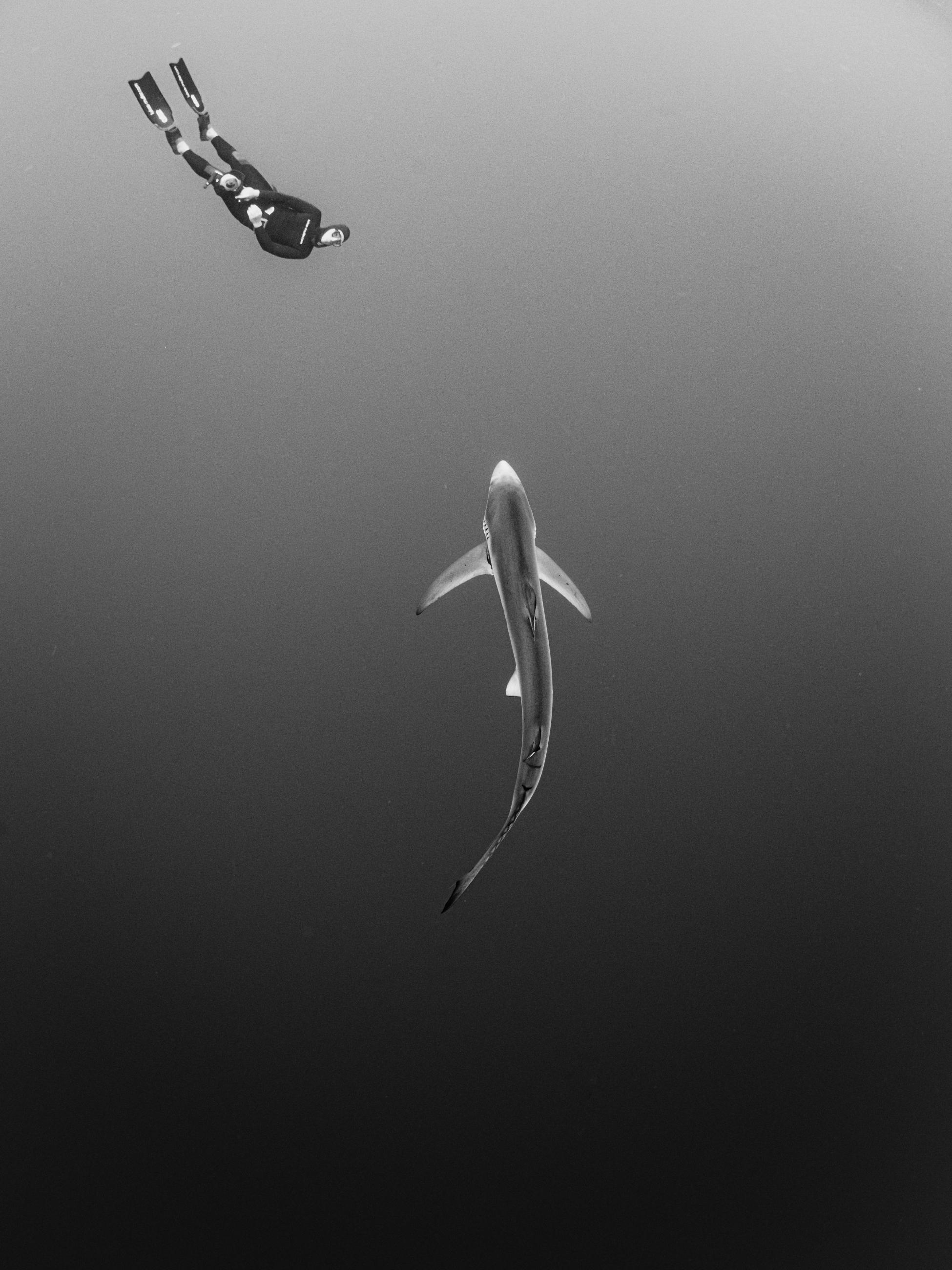 © Alois Maurizi, Italy, entry, Open competition, Creative, 2021 Sony World Photography Awards