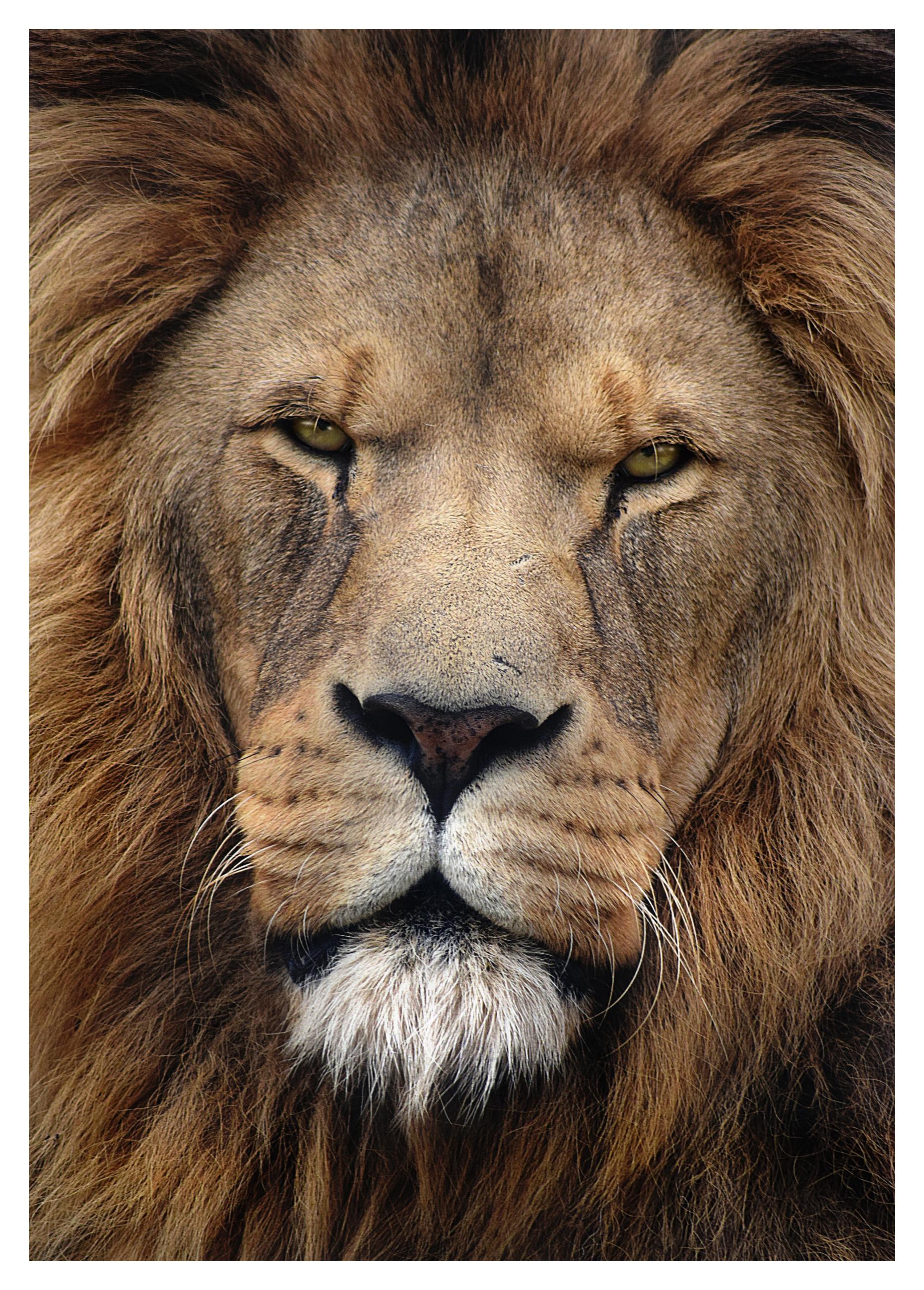 © Charlotte Fawkes, United Kingdom, entry, Open competition, Natural World &amp; Wildlife, 2021 Sony World Photography Awards