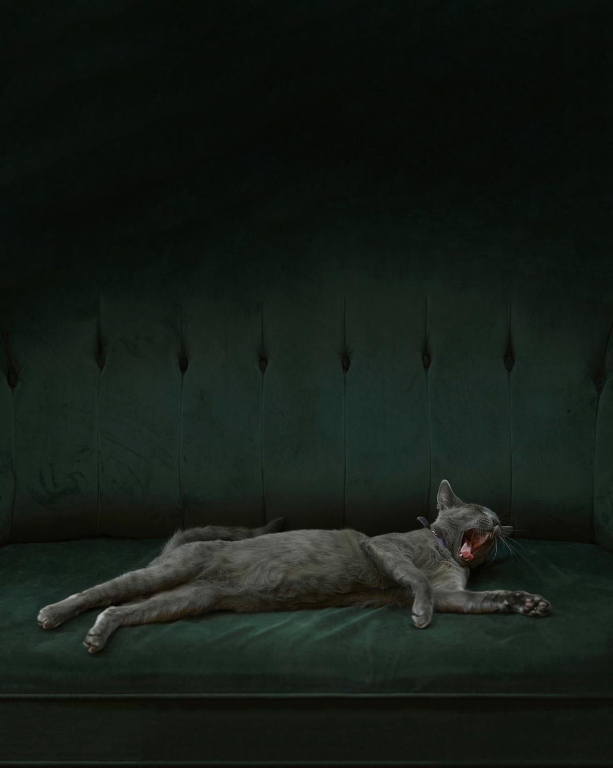 © Hugh Fox, United Kingdom, Finalist, Professional competition, Portfolio, 2022 Sony World Photography Awards