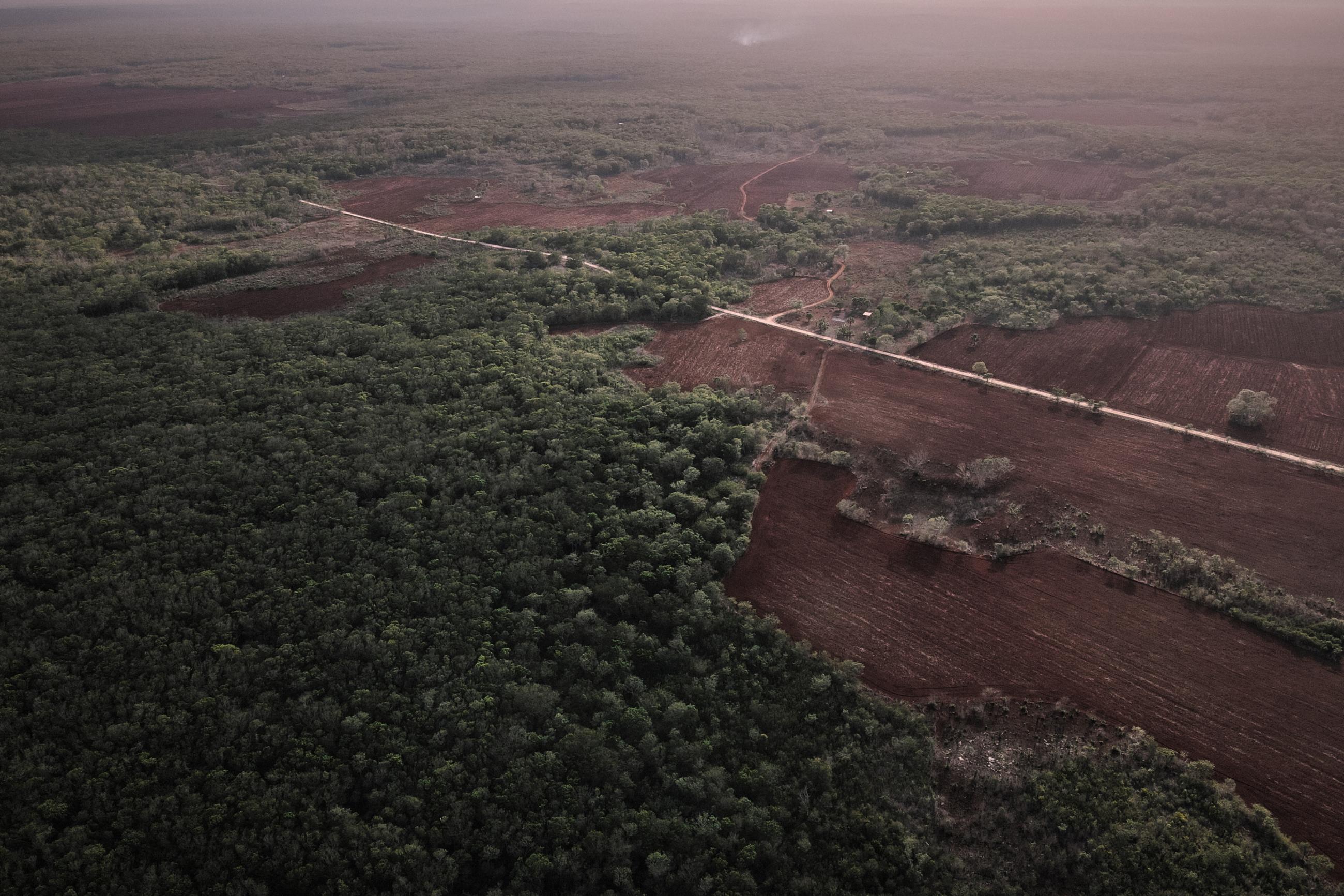 Deforestation, Hopelchén
