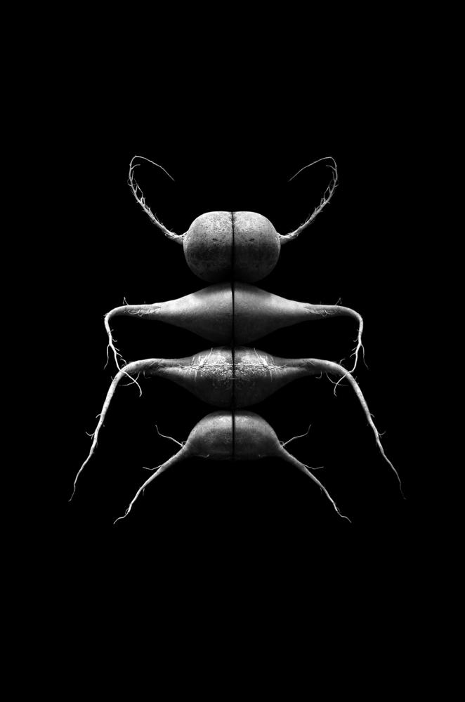 © Cecilia Manzanares Vargas, Mexico, Shortlist, Latin America Professional Award, 2020 Sony World Photography Awards