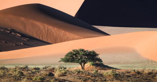 Landscape | World Photography Organisation