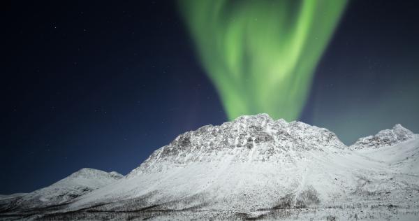 Snowy Owl, Wild Horses & Solar Eclipses: Entries of the Week