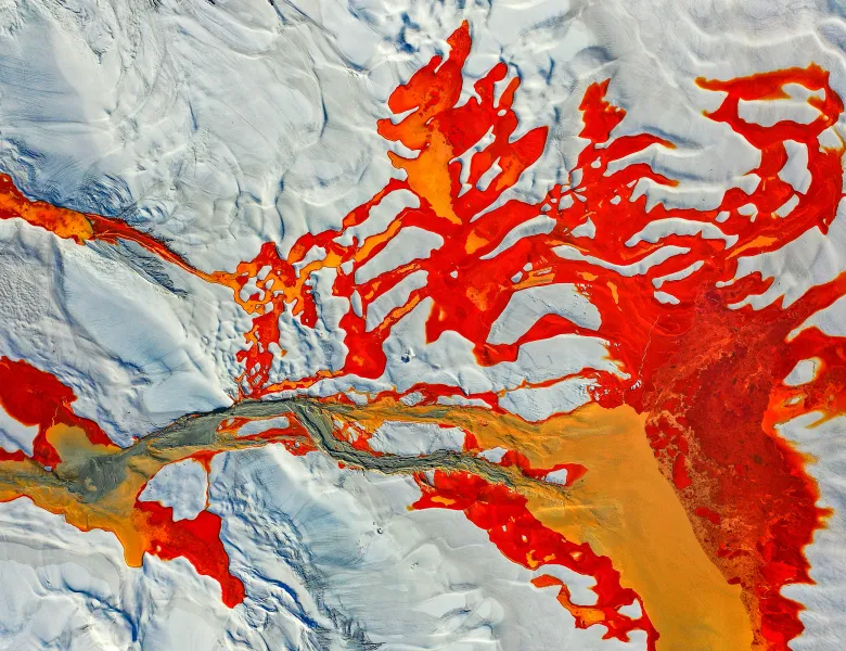 Disturbed Landscape 06