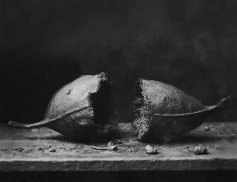 © Pierre-Yves Cruaud, France, entry, Open Competition, Creative, 2026 Sony World Photography Awards