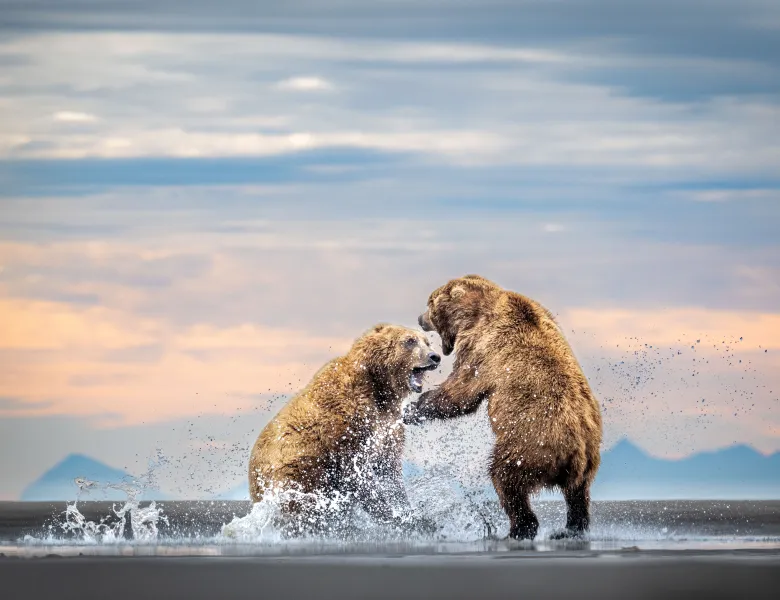 © Harry Skeggs, United Kingdom, entry, Single Image competition, Natural World & Wildlife, Sony World Photography Awards 2027