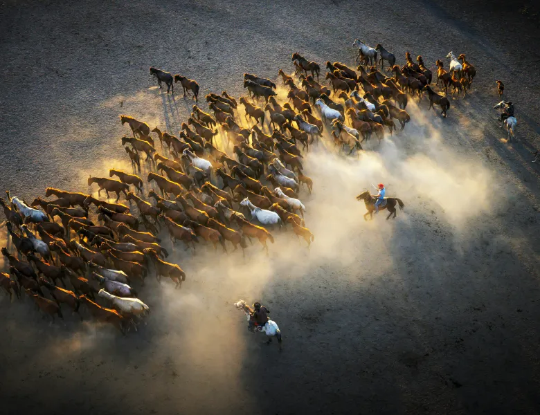 © F.Dilek Yurdakul, Türkiye, entry, Single Image competition, Motion, Sony World Photography Awards 2027