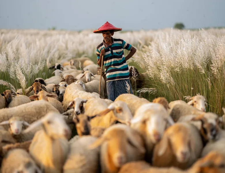 © Shakib Hossain, Bangladesh, entry, Single Image competition, Lifestyle, Sony World Photography Awards 2027